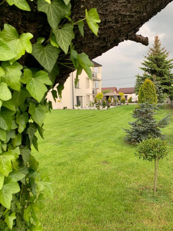 Zielony Ogrod Spytkowice  Exteriér fotografie